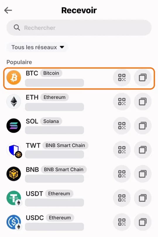 Liste « Recevoir » de Trust Wallet, ligne Bitcoin encadrée